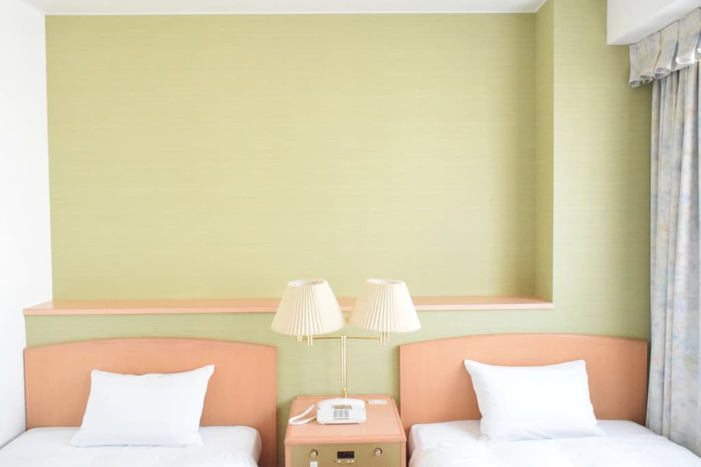 Standard Double room twin beds