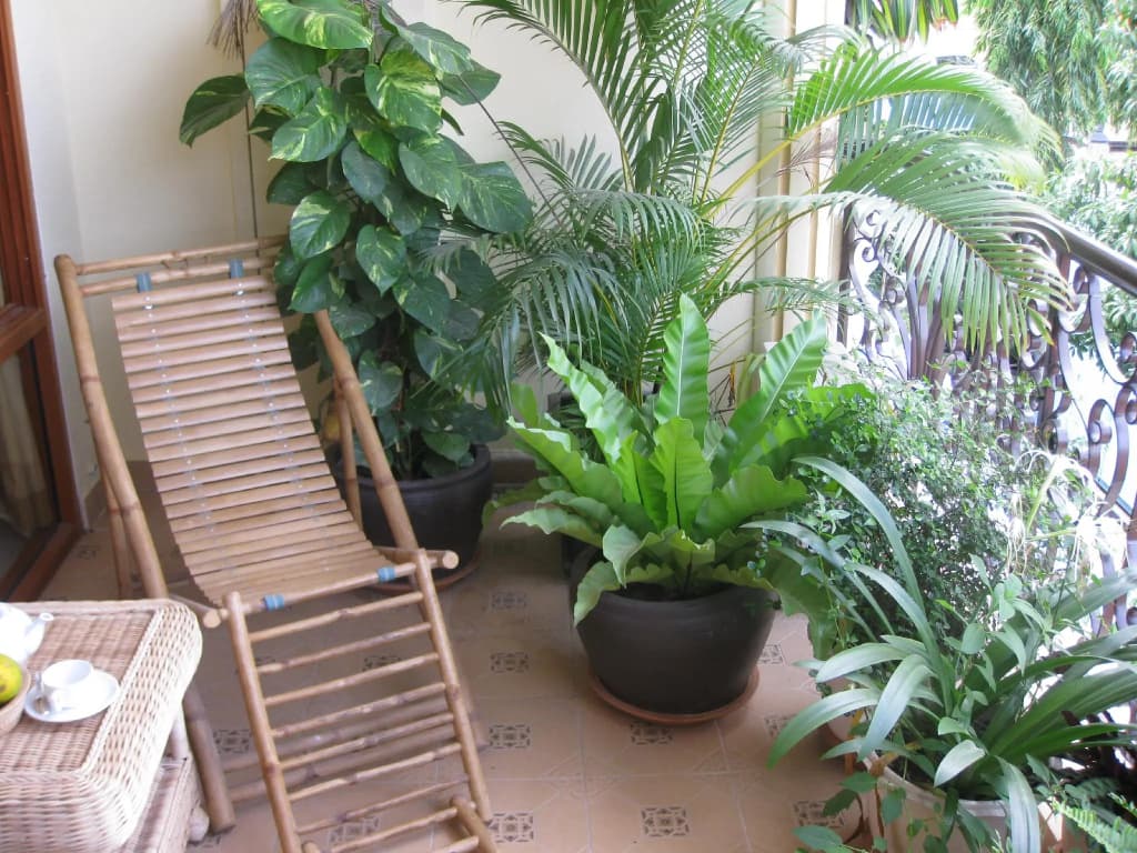 Hotel photo 15