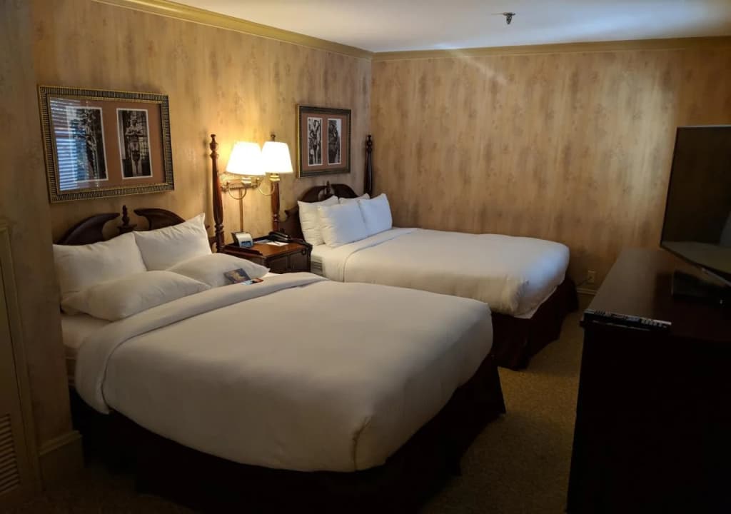 Hotel photo 7