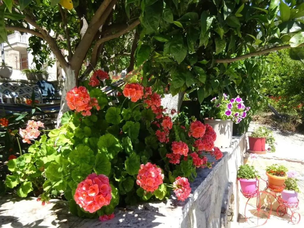 Hotel photo 26