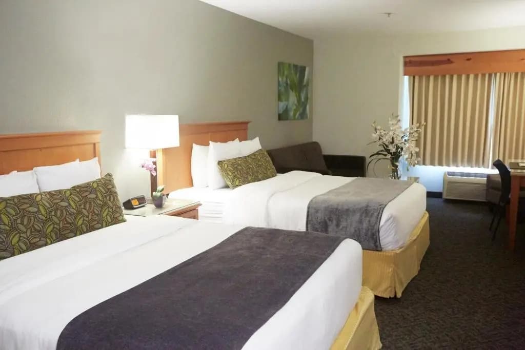 Standard Quadruple room