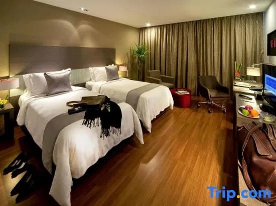 Executive Double room with city view twin beds