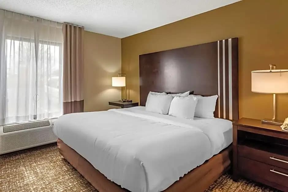 Basement Suite