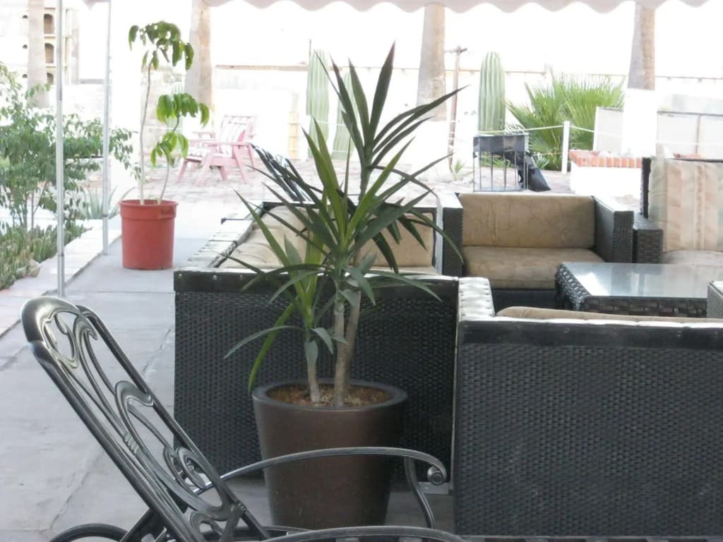 Hotel photo 7