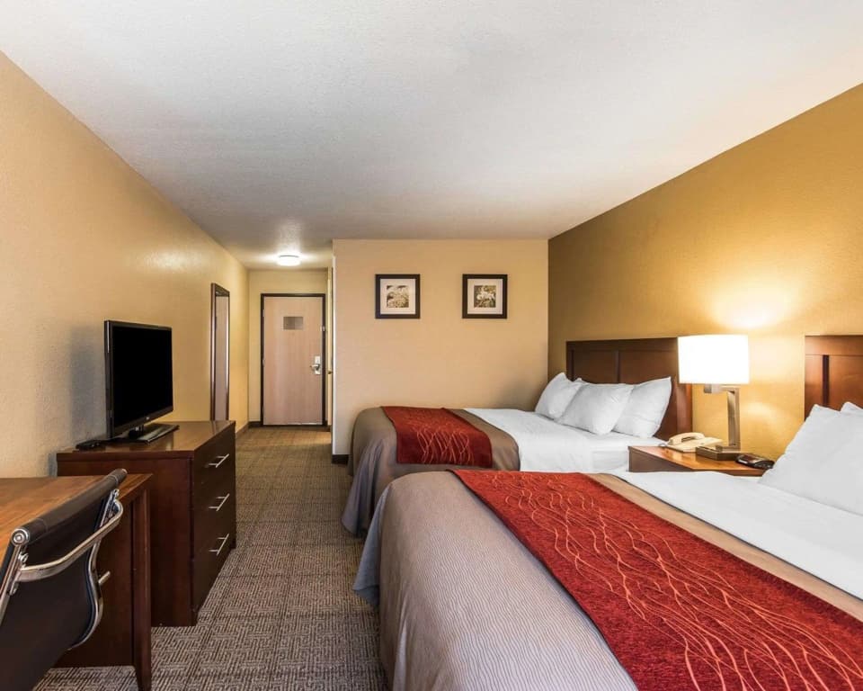 Standard Quadruple room