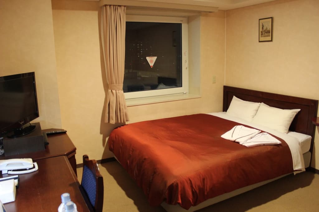 Standard Double room full double bed