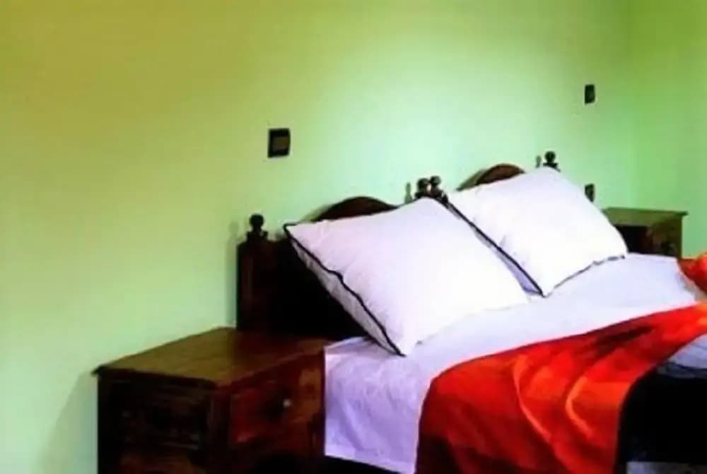 Standard Double room with mountain view full double bed