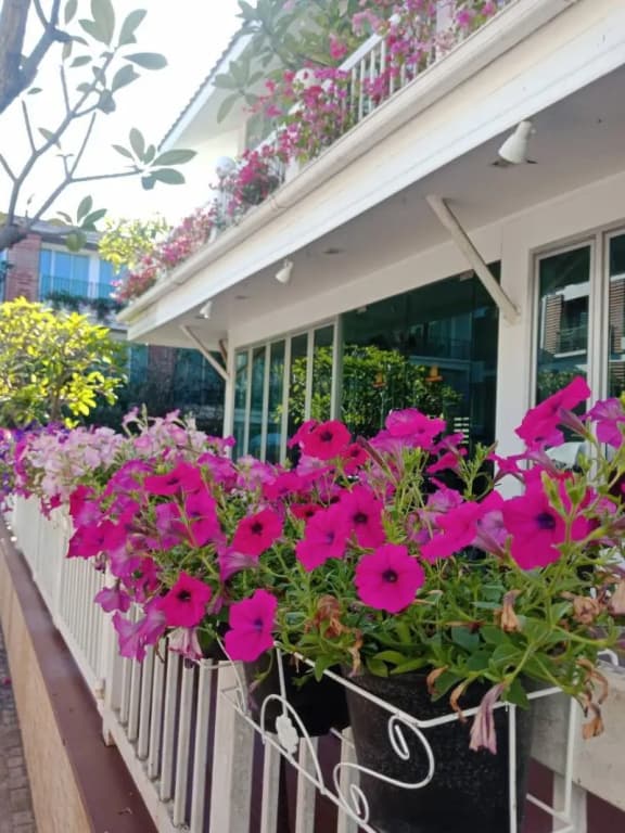 Hotel photo 26