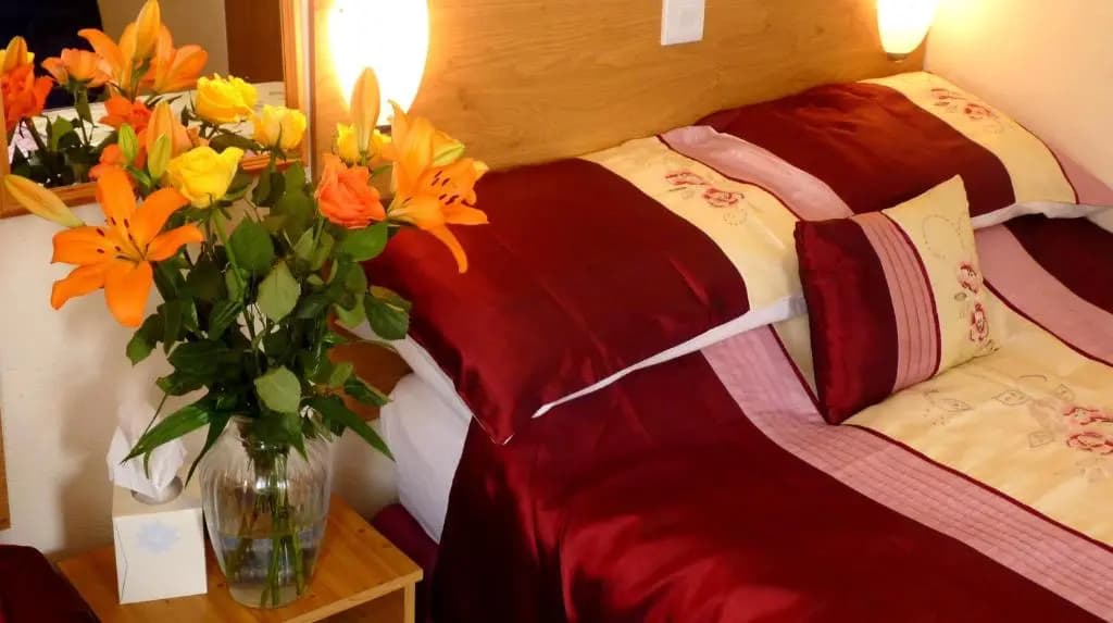 Standard Double room twin beds