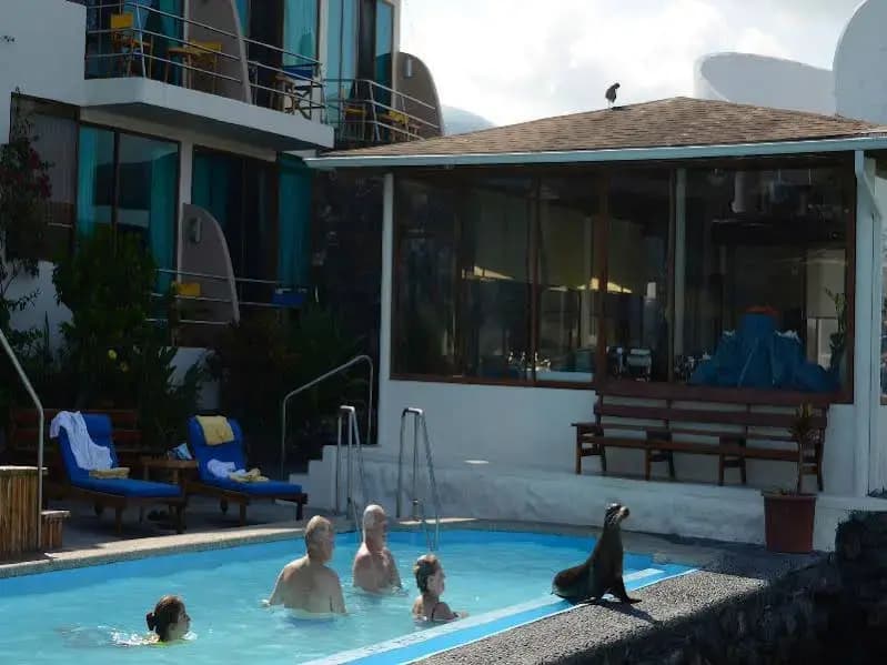 Hotel photo 17