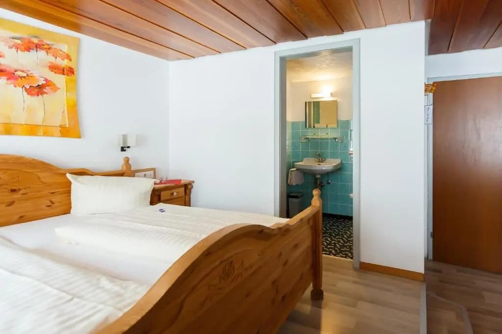 Standard Double room full double bed