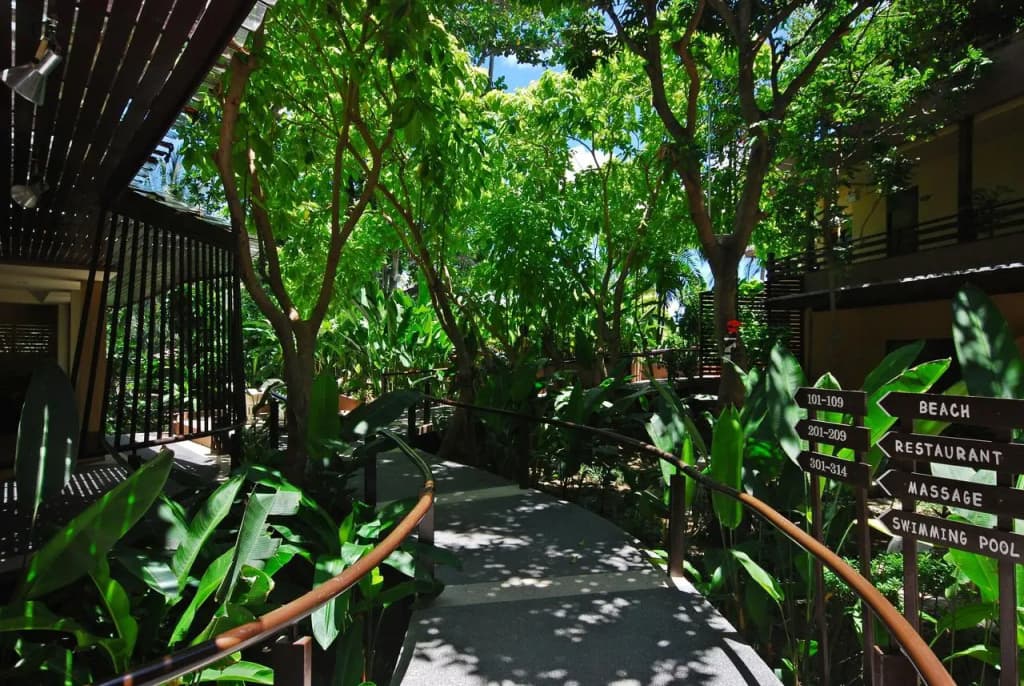 Hotel photo 17