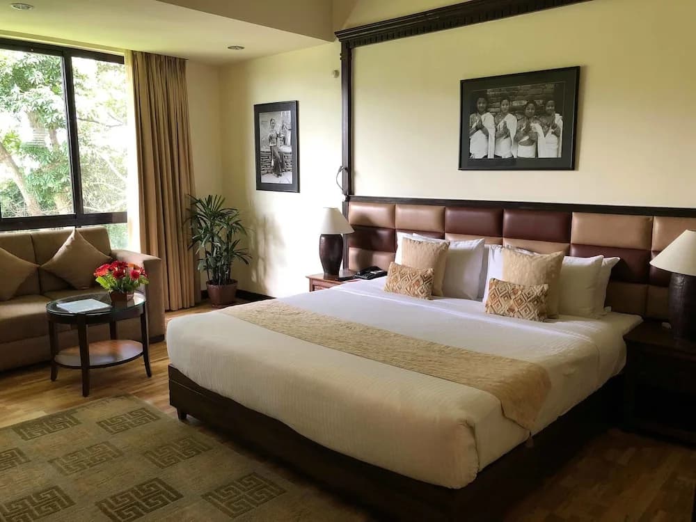Premier Double room with balcony full double bed