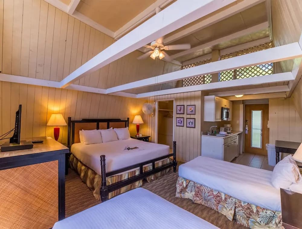 Deluxe Family room with balcony and with garden view