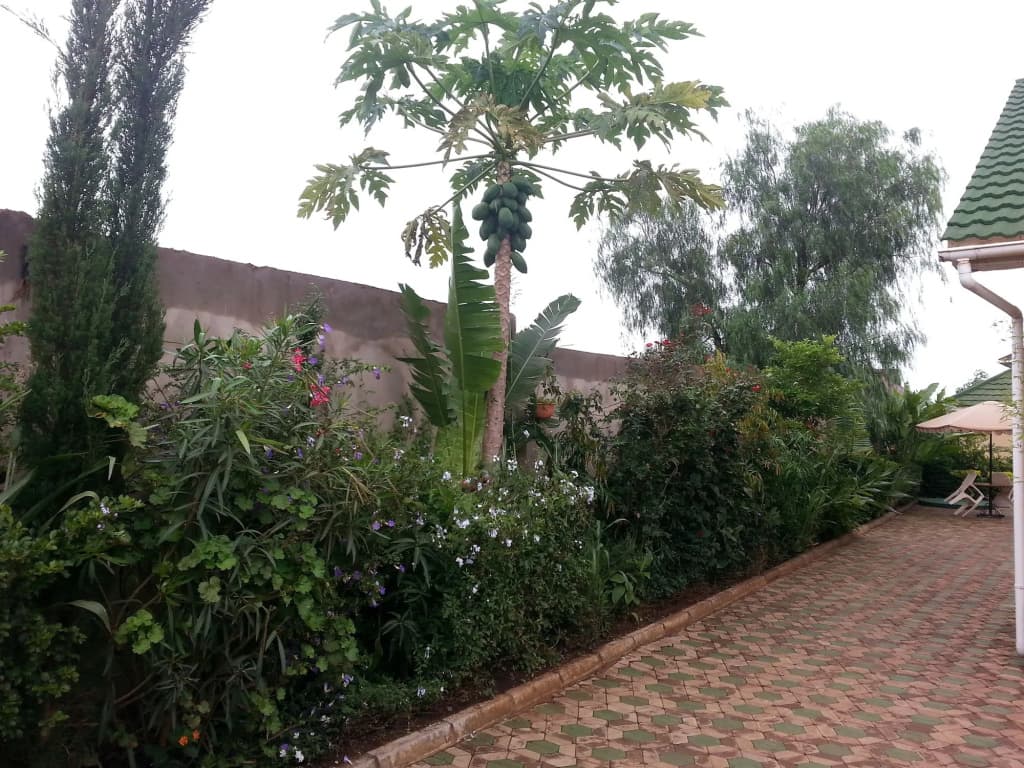 Hotel photo 12