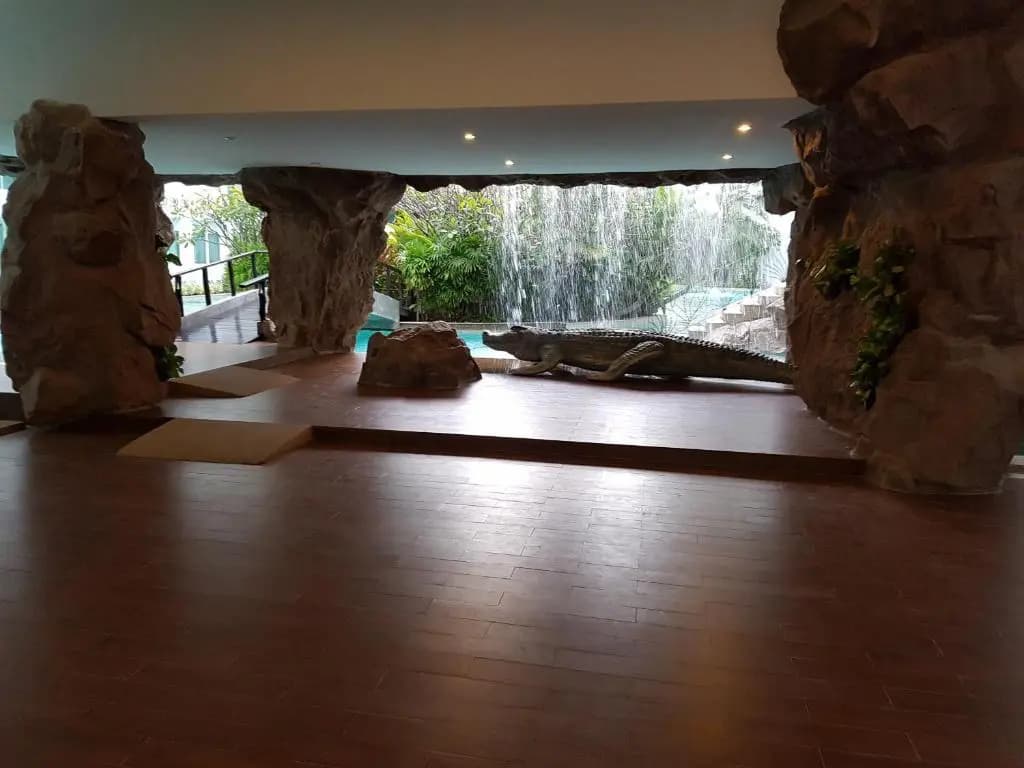 Hotel photo 8