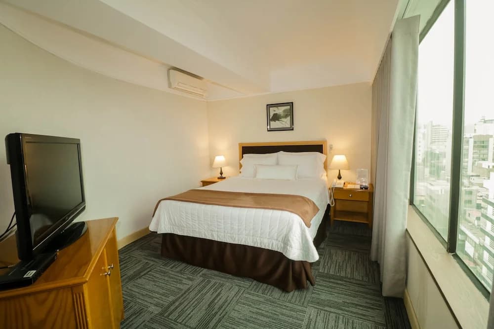 Executive Double Suite full double bed