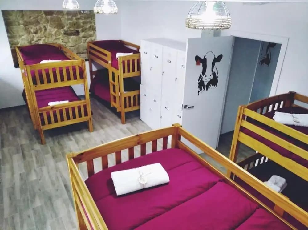 Bed in Dorm