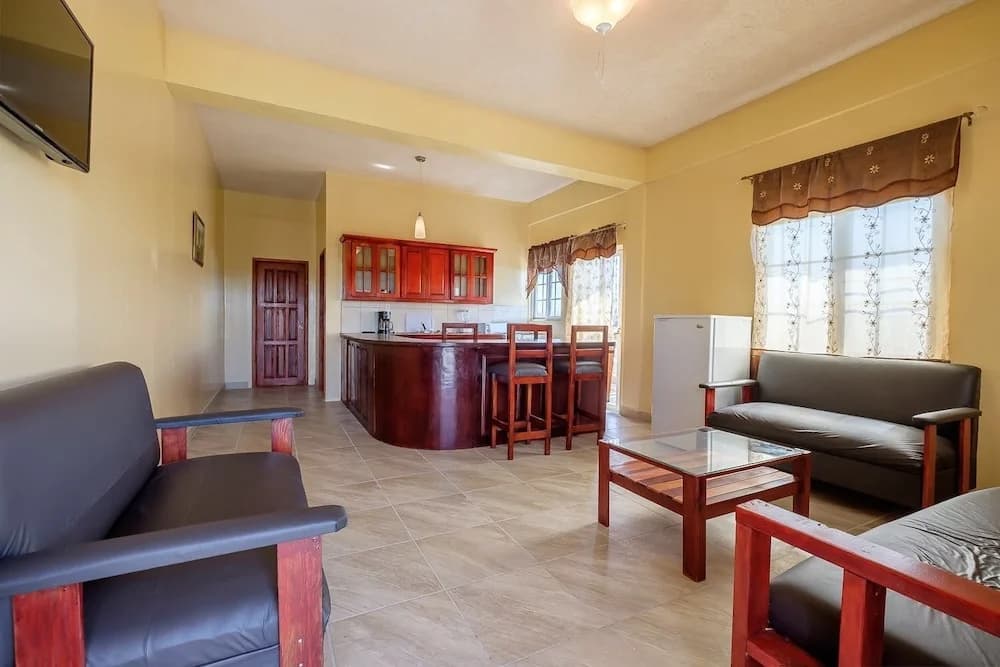 Luxury Apartment