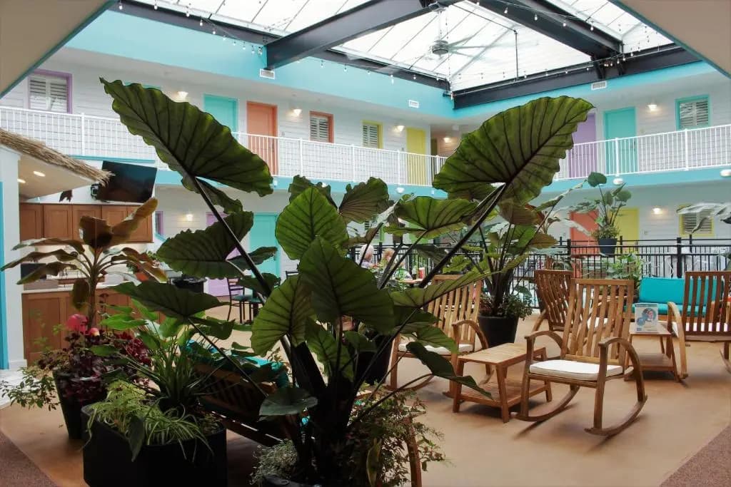 Hotel photo 15
