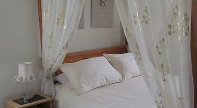 Hotel photo 37