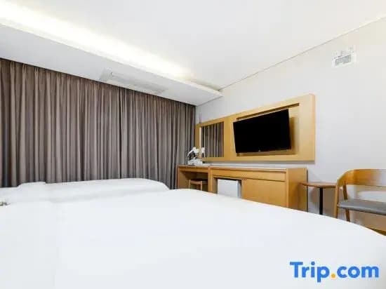 Standard Double room with city view twin beds