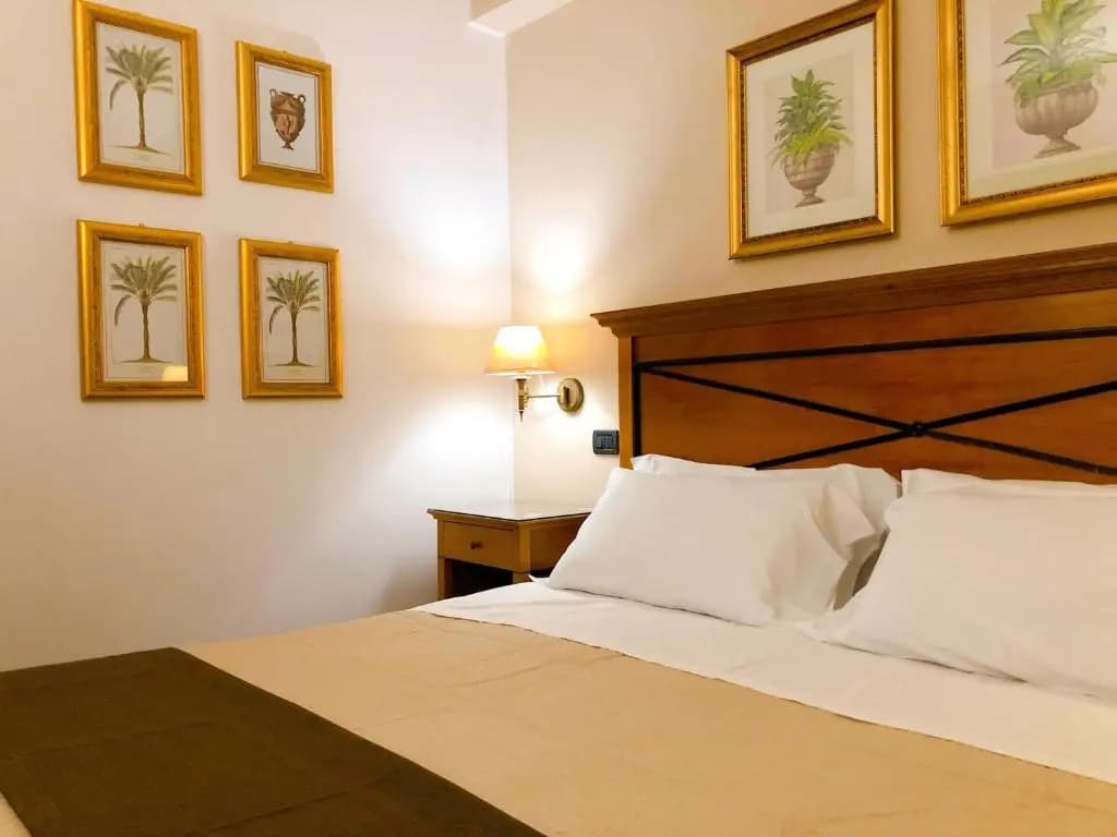 Standard Double room full double bed