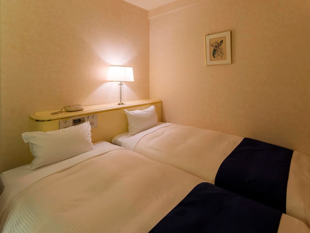 Economy Double room twin beds