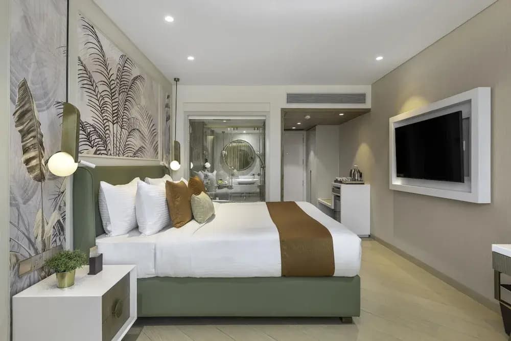Standard Double room full double bed