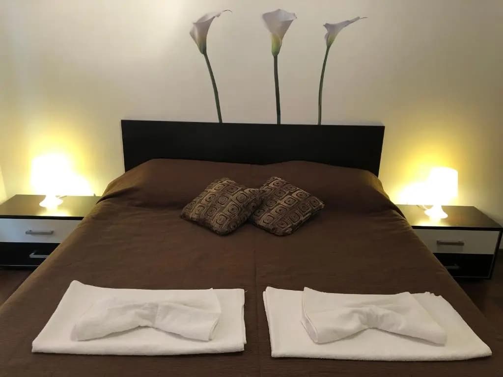 1 Bedroom Apartment with balcony