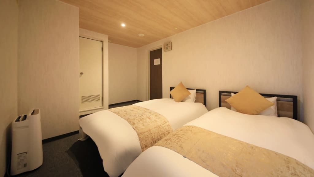 Standard Double room with city view twin beds
