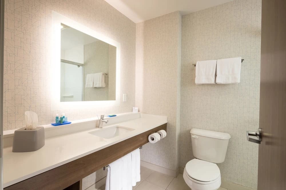 1 Bedroom Suite