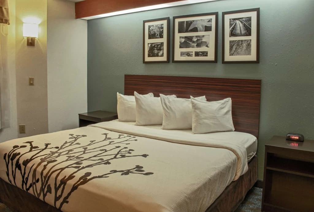 Standard Double room full double bed