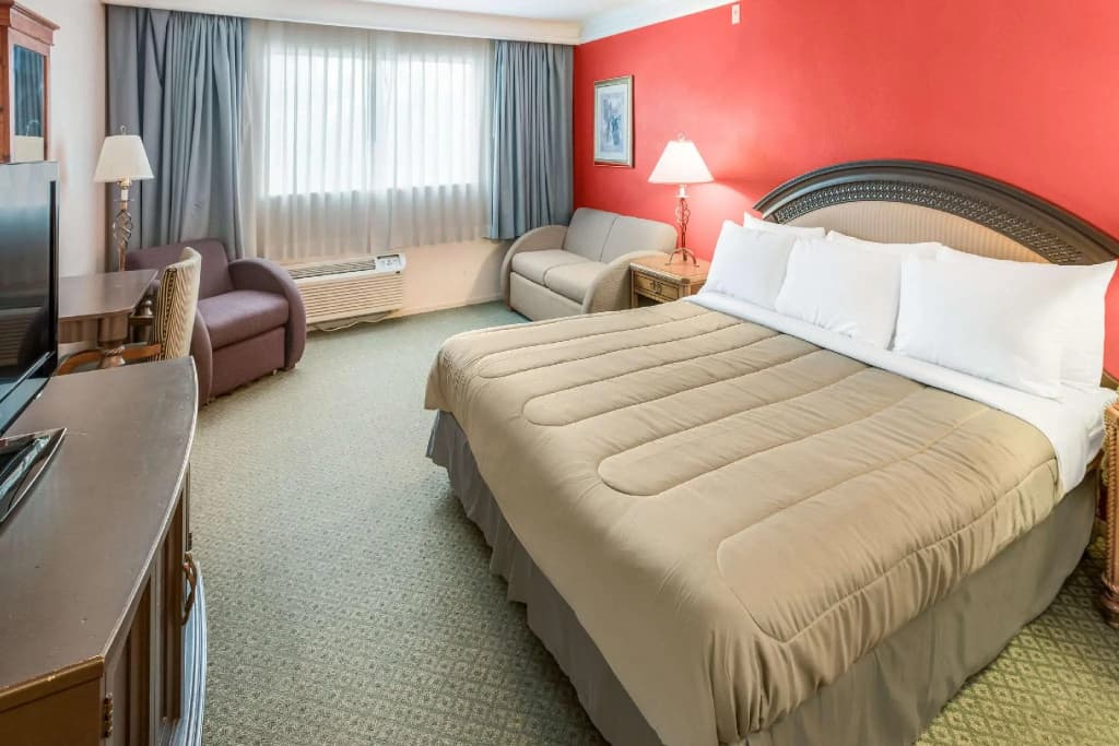 Standard Double room full double bed
