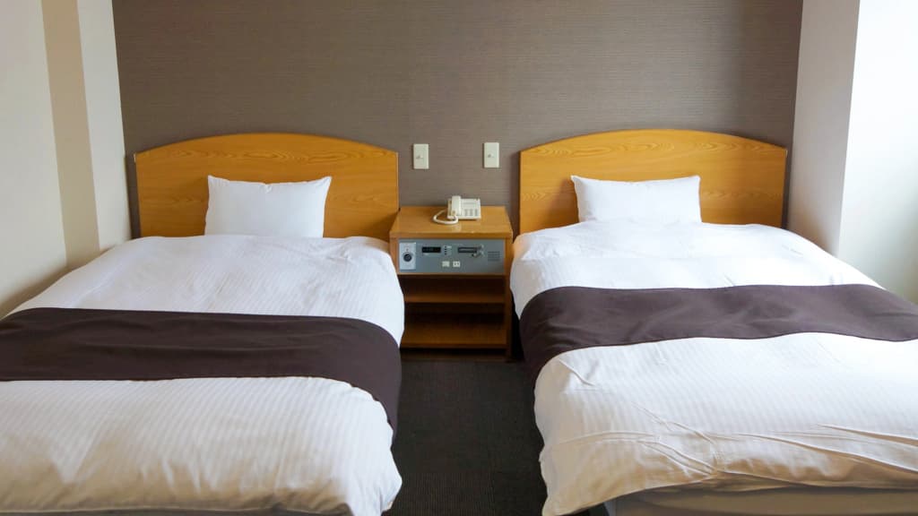 Standard Double room twin beds