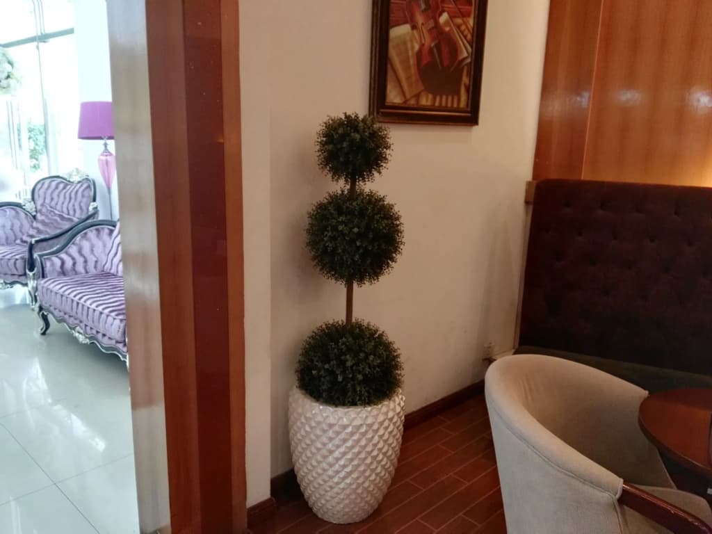 Hotel photo 21