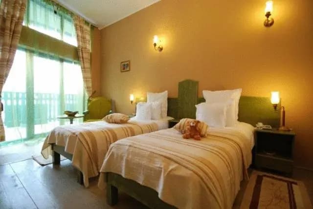 Standard Double room with mountain view twin beds