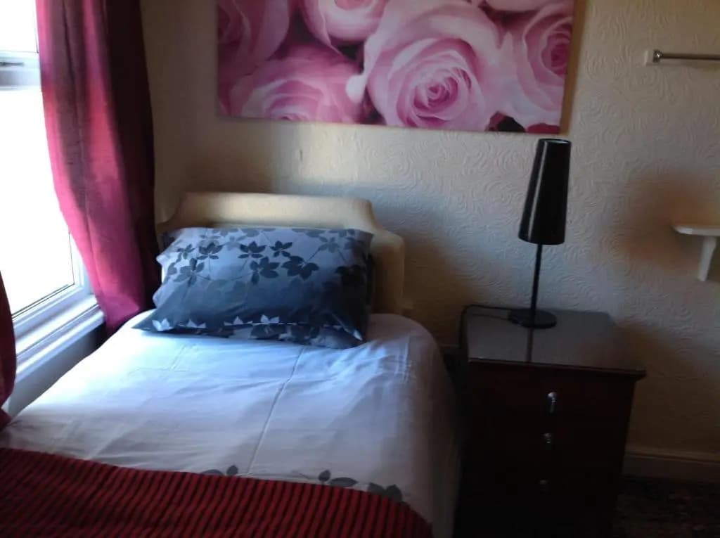 Deluxe Single room