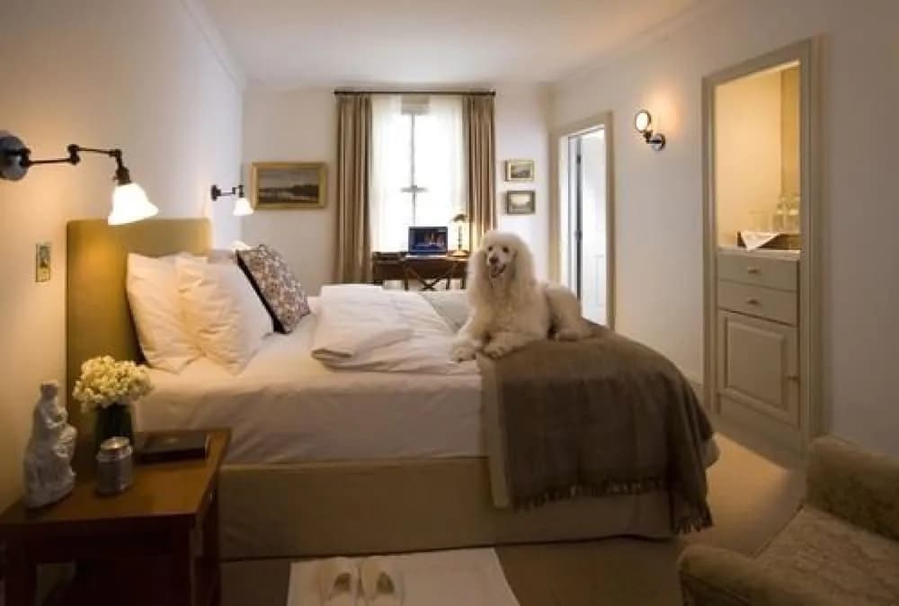 Hotel photo 7