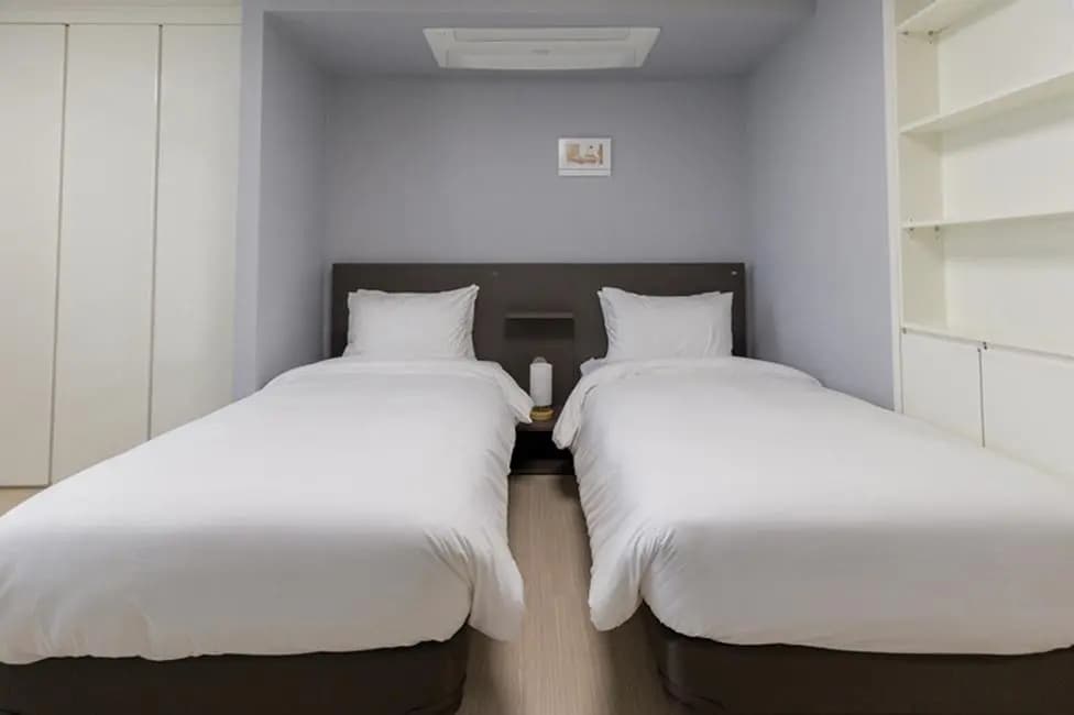 Deluxe Double room with city view twin beds