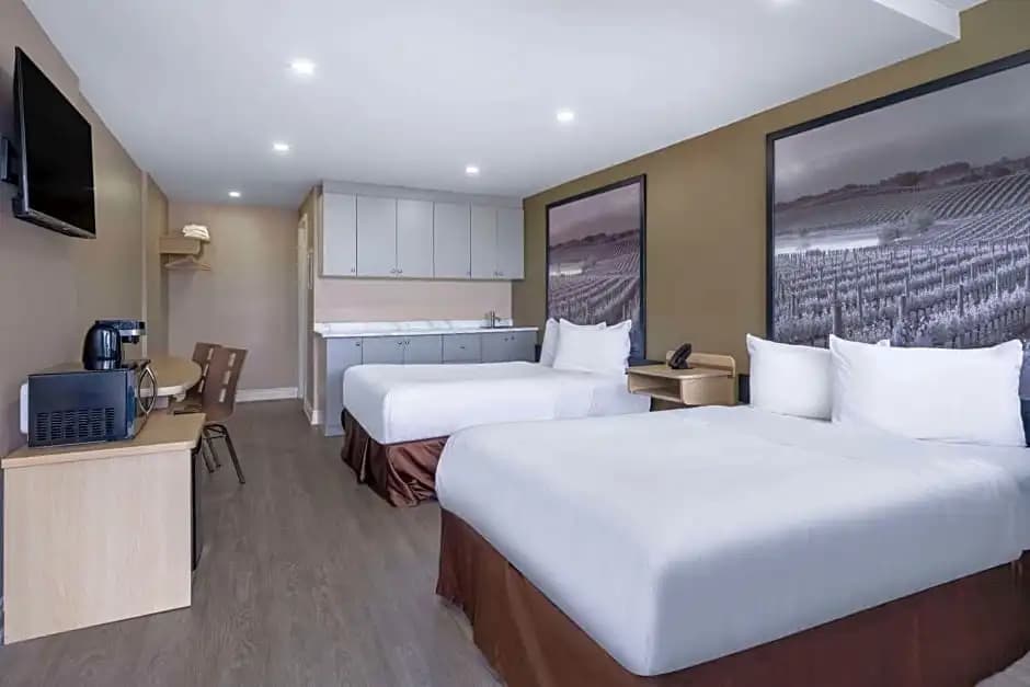 Suite