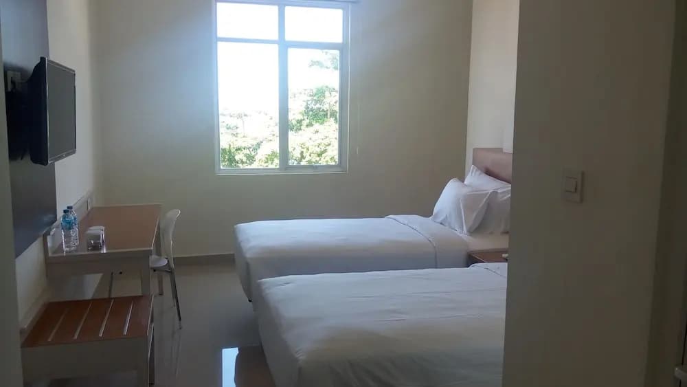 Deluxe Double room twin beds