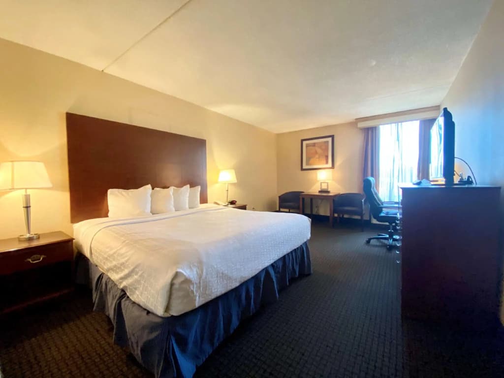 Standard Double room full double bed