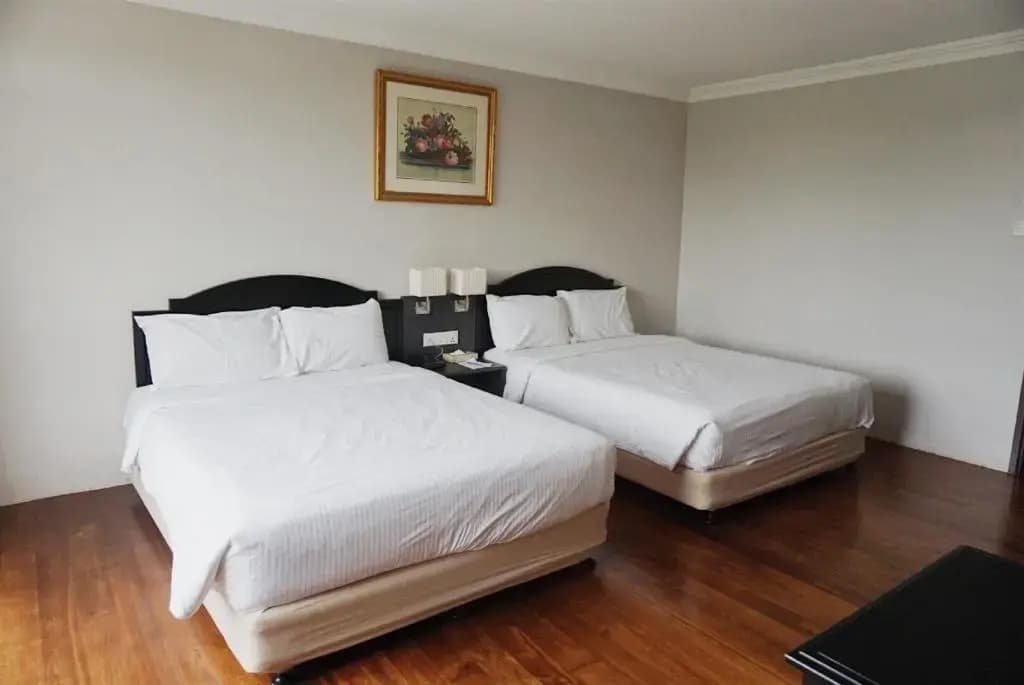 Deluxe Double room twin beds
