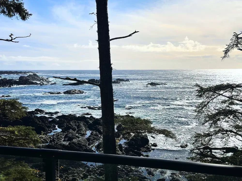1 Bedroom Suite with ocean view