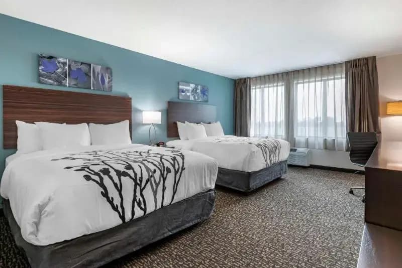 Standard room