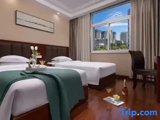 Standard Double room twin beds