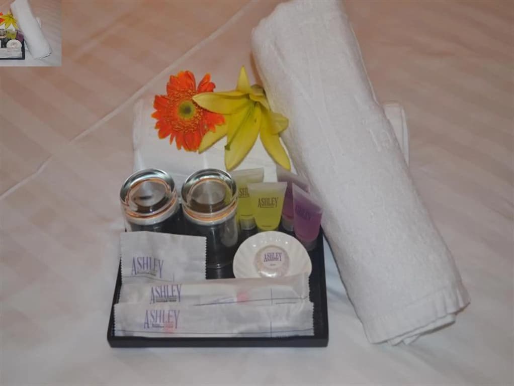 Deluxe Double room twin beds