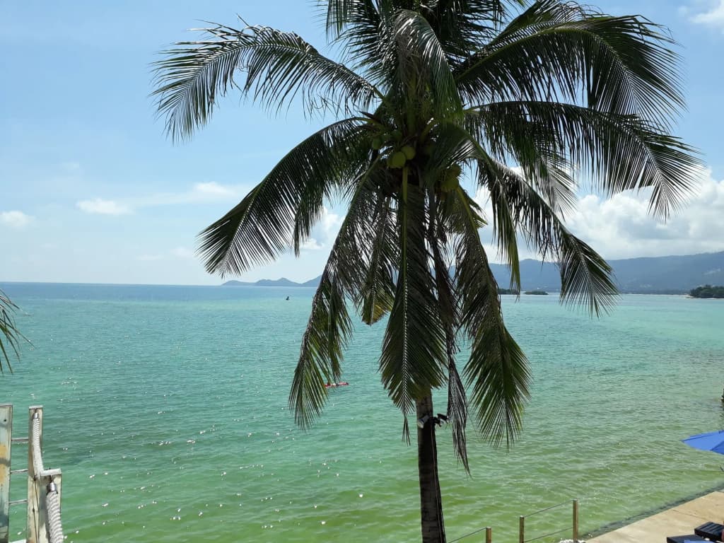 Hotel photo 29
