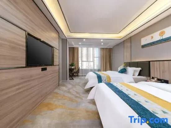 Standard Double room with city view twin beds